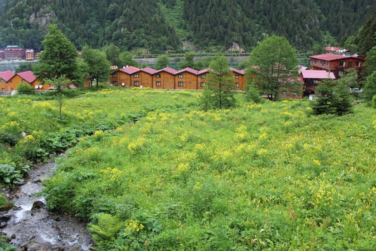 Faraksi Bungalow & Otel Uzungöl Exterior foto